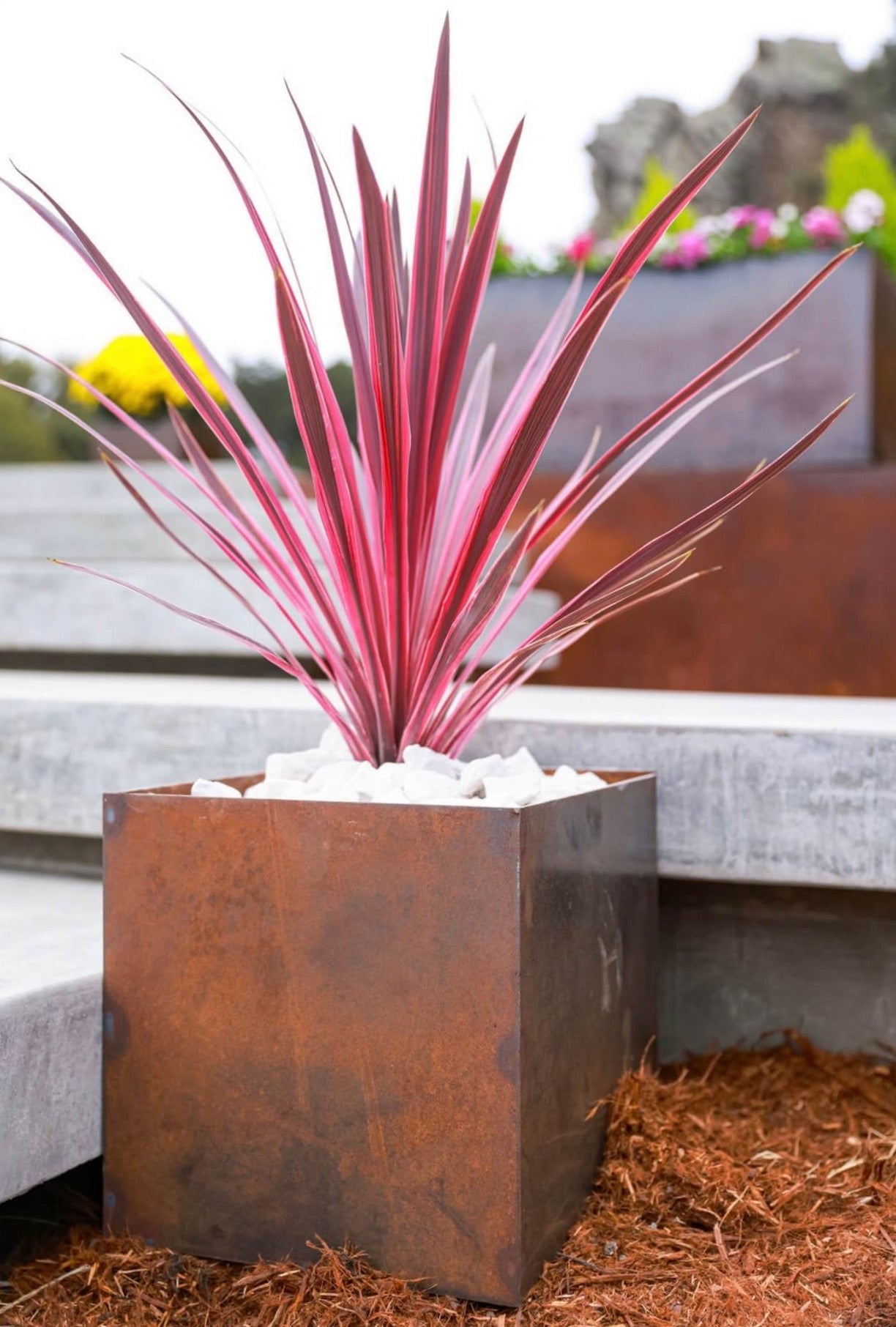 Square Corten Steel Planters | Modern Metal Planter Boxes