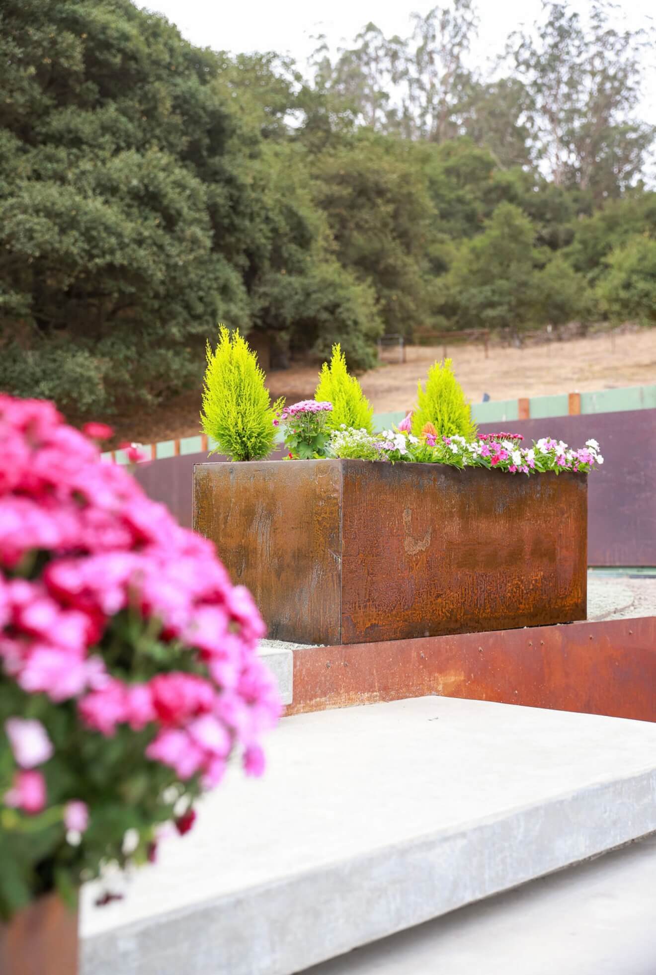A rust-finished rectangular Corten steel planter with vibrant greenery and flowers, displayed on a concrete garden terrace.