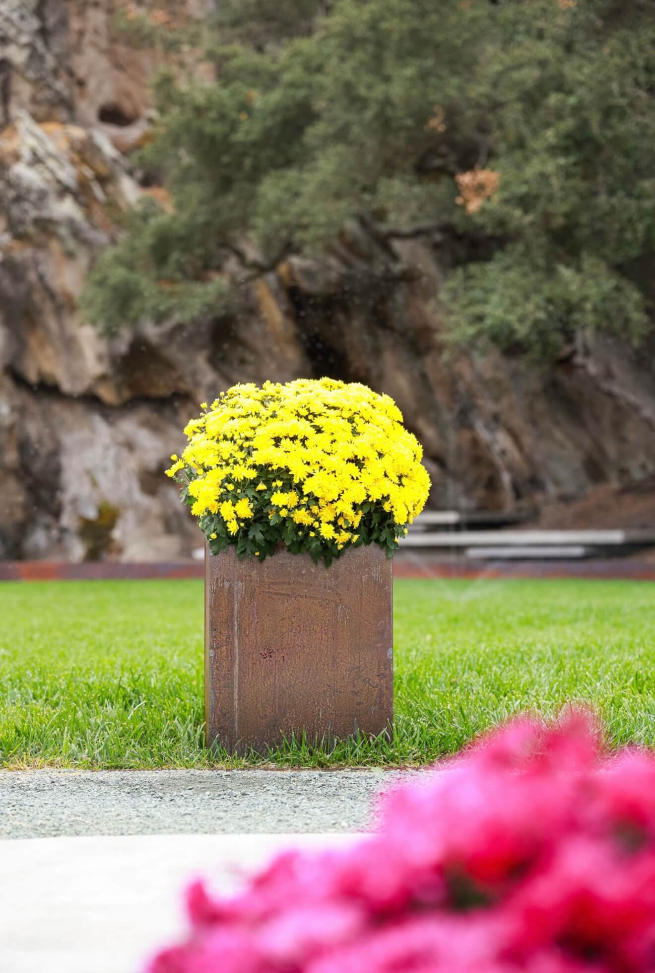 A tall round Corten steel planter with bright yellow flowers set against a natural rock and grass background.